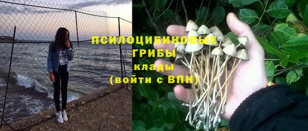 прущие крисы Ладушкин