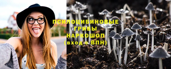 прущие крисы Ладушкин