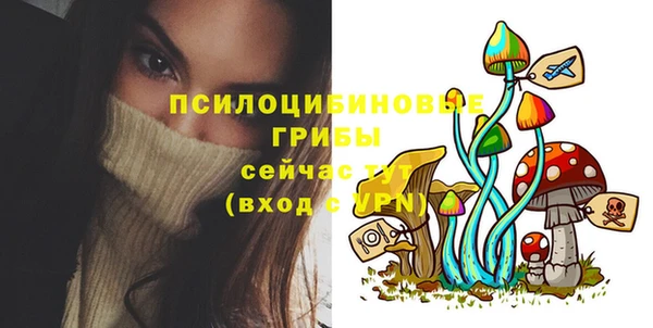 MESCALINE Лабытнанги