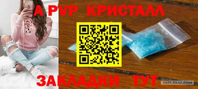 ECSTASY Кимры