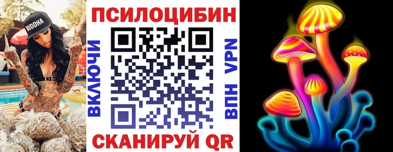 Галлюциногенные грибы Psilocybe  Октябрьский 