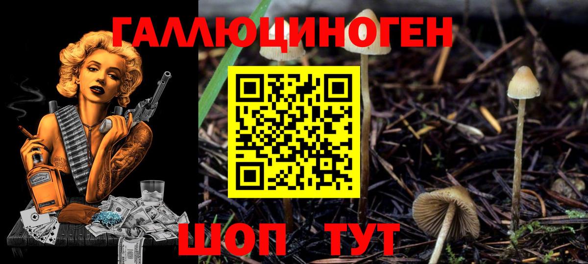 где купить   Псилоцибиновые грибы GOLDEN TEACHER  Вход с VPN  Галлюциногенные грибы MAGIC MUSHROOMS  Октябрьский 