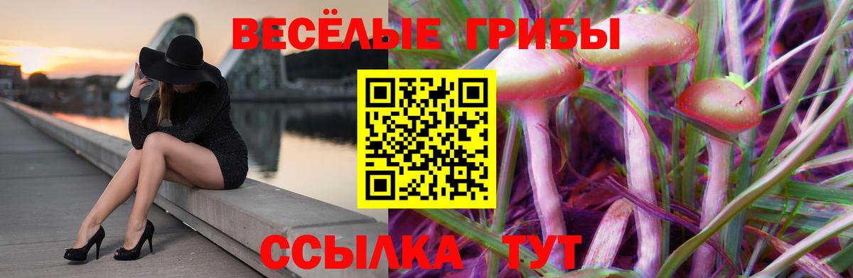 Галлюциногенные грибы Psilocybe Октябрьский